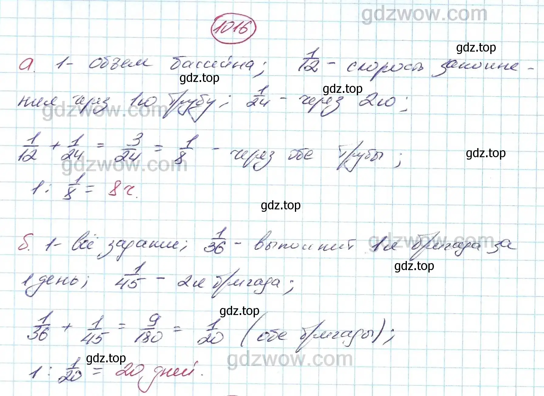 Решение 5. номер 1016 (страница 256) гдз по алгебре 7 класс Никольский, Потапов, учебник