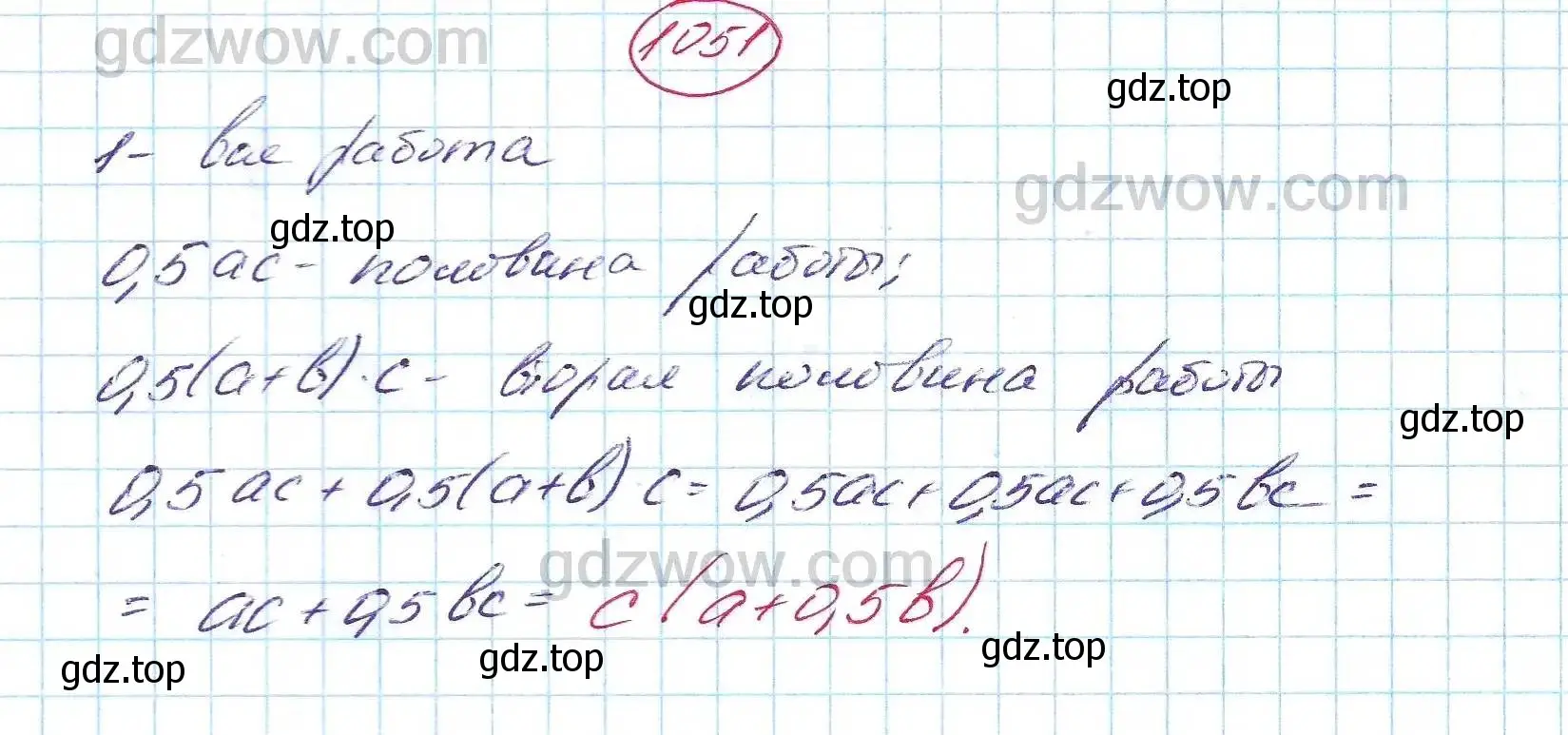 Решение 5. номер 1051 (страница 260) гдз по алгебре 7 класс Никольский, Потапов, учебник