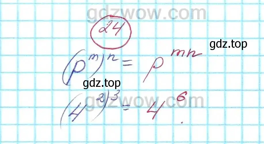 Решение 5. номер 24 (страница 8) гдз по алгебре 7 класс Никольский, Потапов, учебник