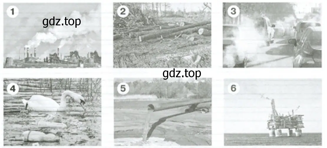 Рассмотрите рисунки – символы экологических проблем - биология 5 класс Пасечник Рабочая тетрадь