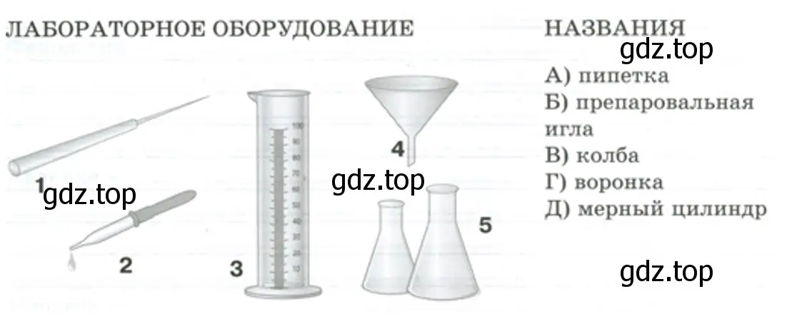 Установите соответствие между лабораторным оборудованием и его названиями. - биология 5 класс Пасечник Рабочая тетрадь