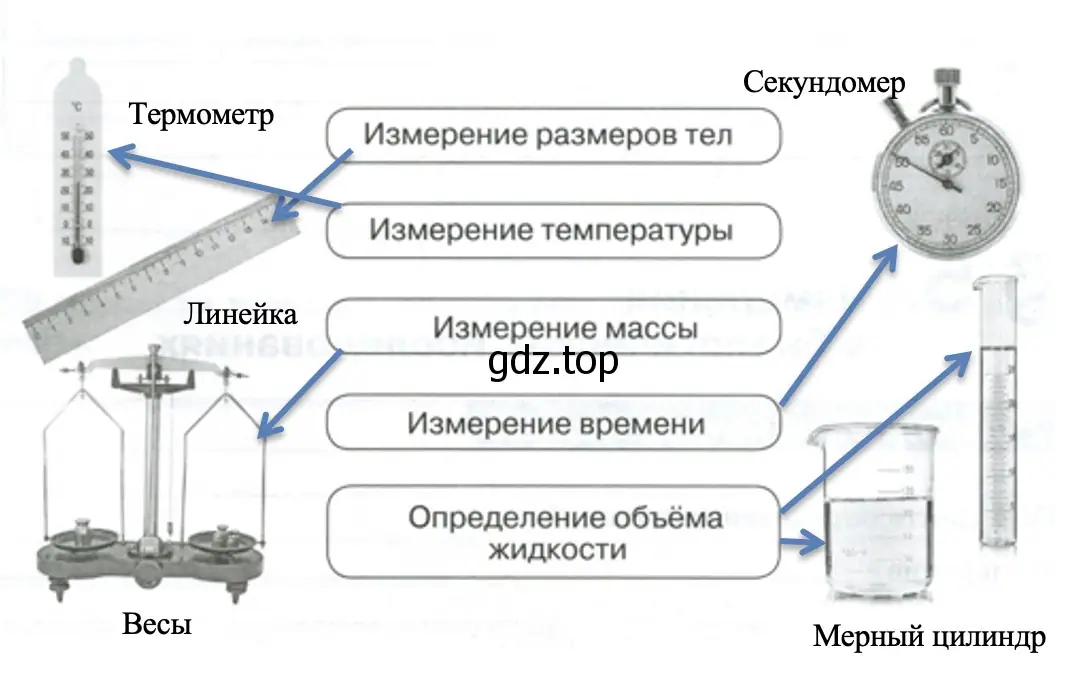 измерительные приборы - биология 5 класс Пасечник Рабочая тетрадь