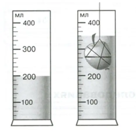 Определите объём воды в мерных цилиндрах на рисунках (2) - биология 5 класс Пасечник Рабочая тетрадь