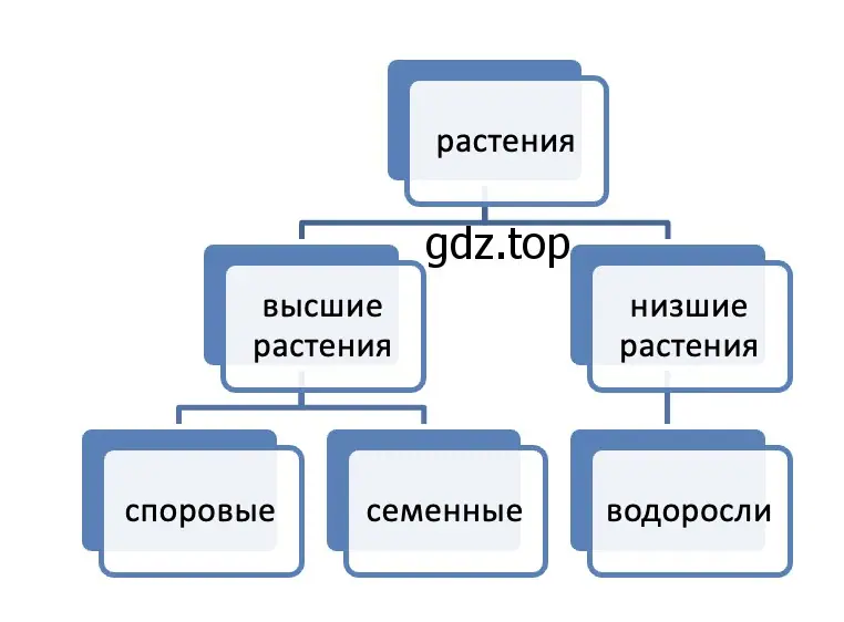 Растения - биология 5 класс Пасечник Рабочая тетрадь