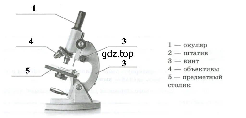 Микроскоп - биология 5 класс Пасечник Рабочая тетрадь