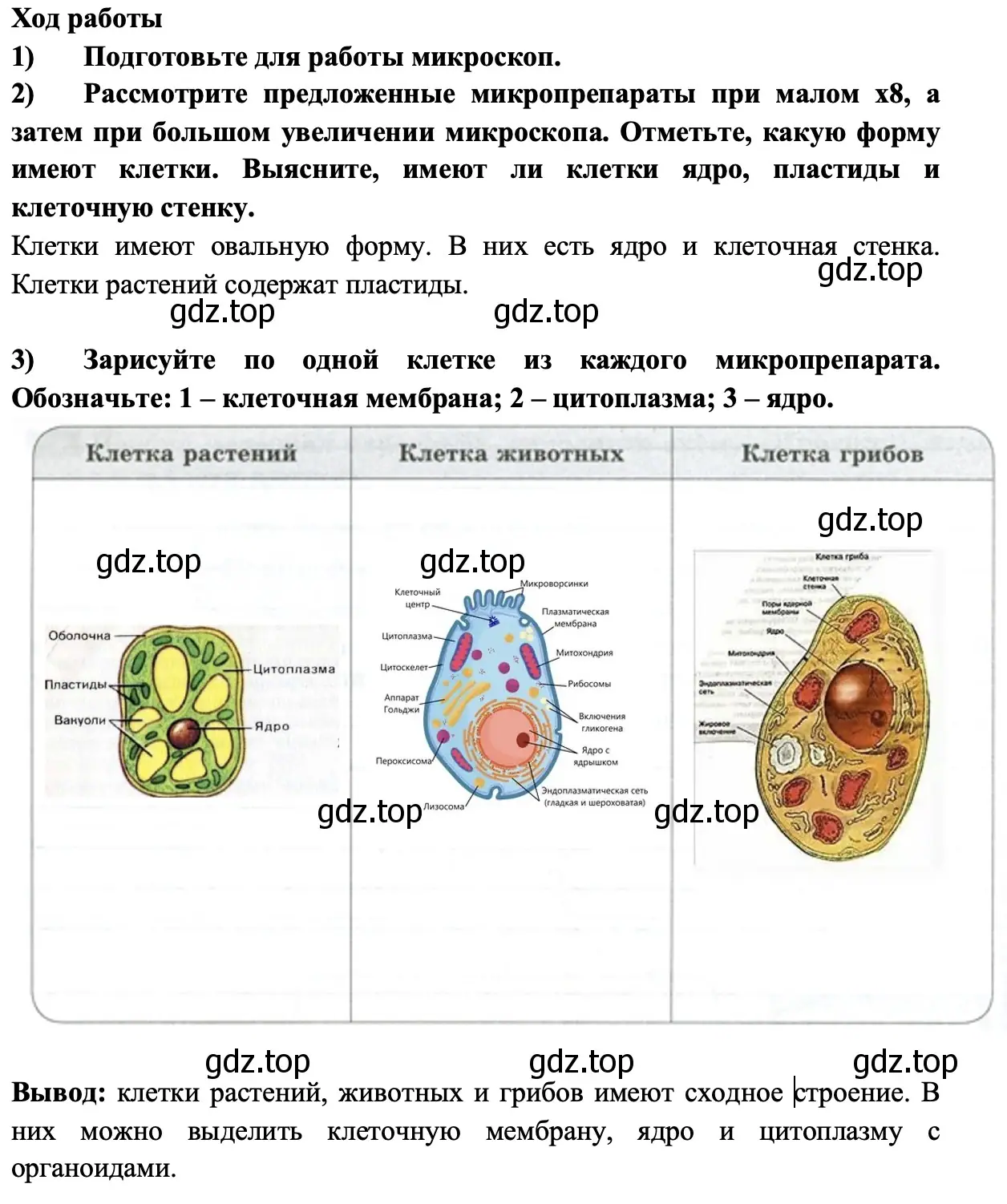 Объекты живой и неживой природы - биология 5 класс Пасечник Рабочая тетрадь