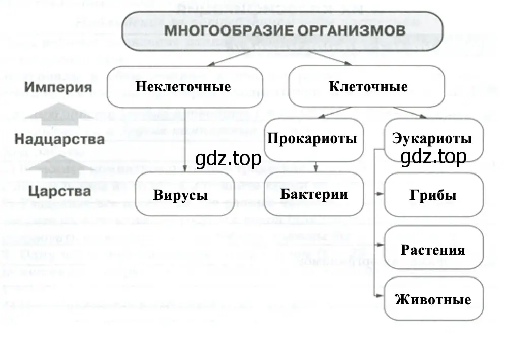 Многообразие организмов - биология 5 класс Пасечник Рабочая тетрадь