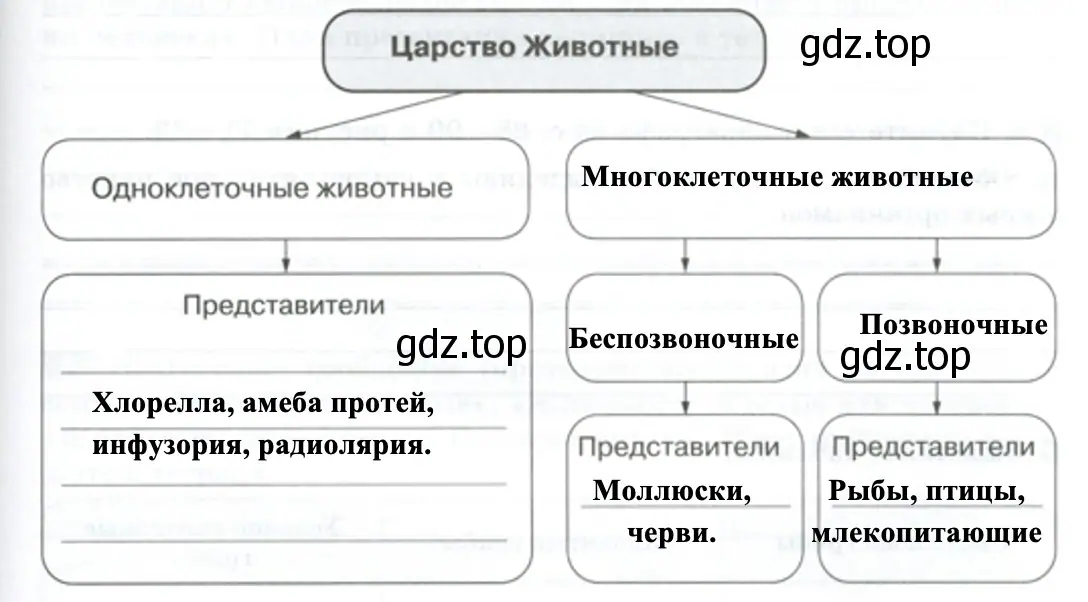 Царство Животные - биология 5 класс Пасечник Рабочая тетрадь