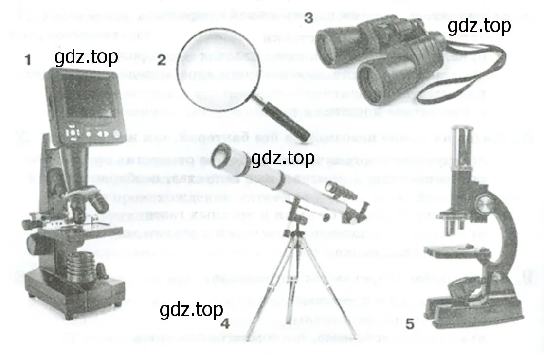 Приборы, предназначенные для изучения мелких природных объектов и клеток живых организмов - биология 5 класс Пасечник Рабочая тетрадь