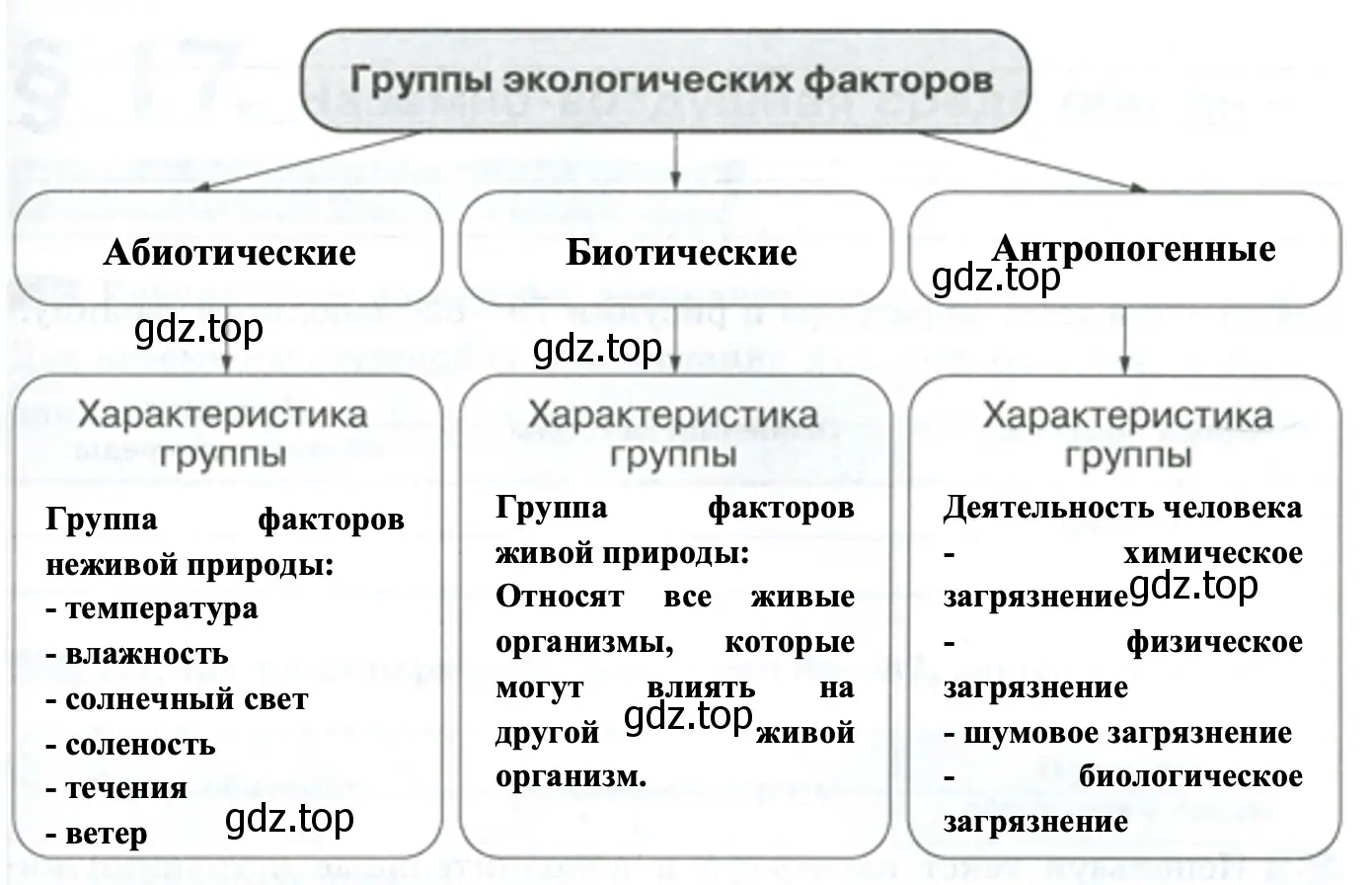 Группы экологических факторов - биология 5 класс Пасечник Рабочая тетрадь