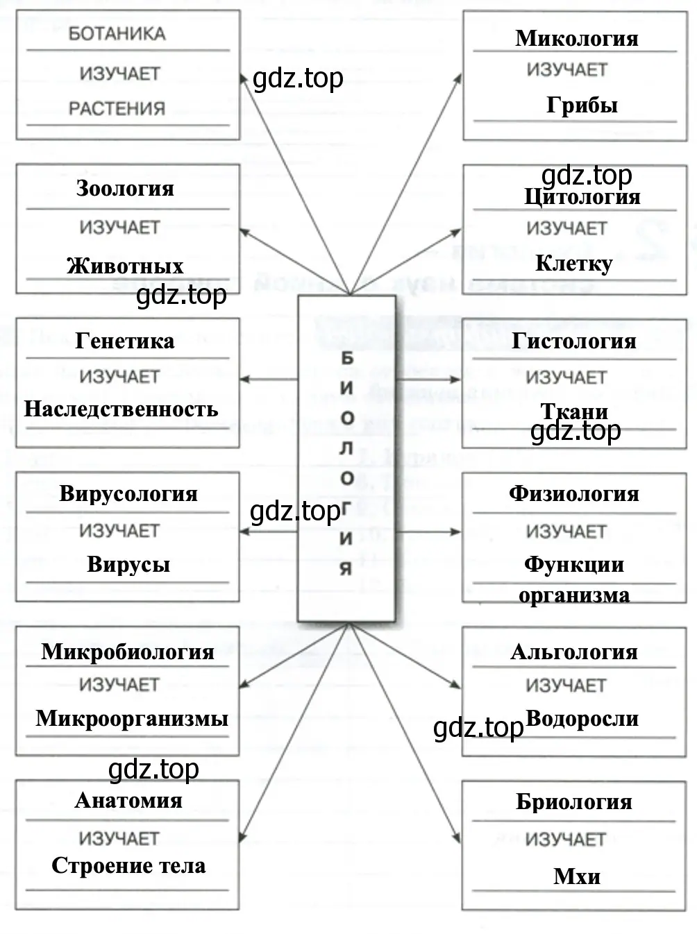 Современная биология - биология 5 класс Пасечник Рабочая тетрадь