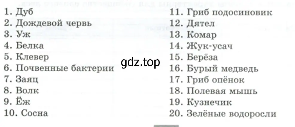 Организмы продуценты - биология 5 класс Пасечник Рабочая тетрадь