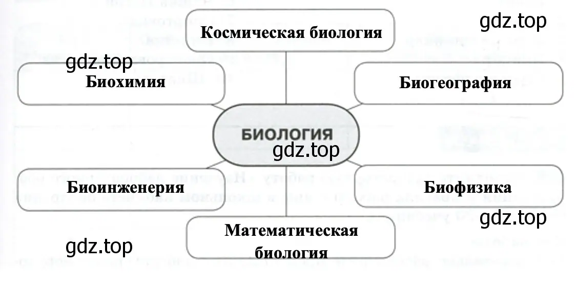 Связь биологии с другими науками - биология 5 класс Пасечник Рабочая тетрадь