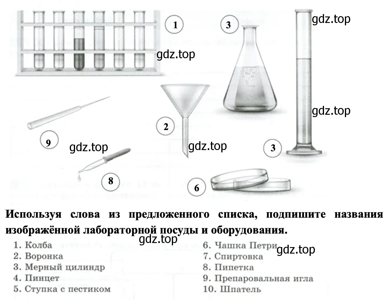 Лабораторная посуда - биология 5 класс Пасечник Рабочая тетрадь