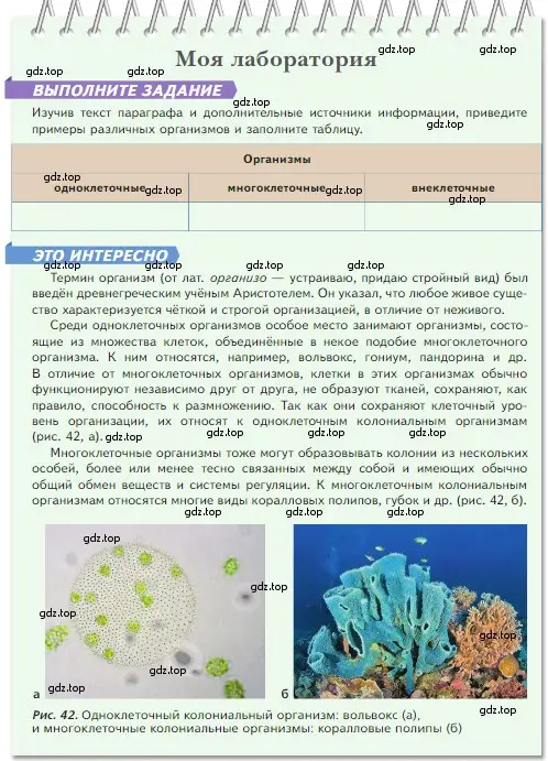 Условие номер Моя лаборатория (страница 59) гдз по биологии 5 класс Пасечник, Суматохин, учебник