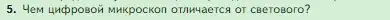 Условие номер 5 (страница 62) гдз по биологии 5 класс Пасечник, Суматохин, учебник