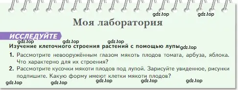 Условие номер Моя лаборатория (страница 63) гдз по биологии 5 класс Пасечник, Суматохин, учебник