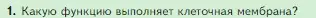 Условие номер 1 (страница 67) гдз по биологии 5 класс Пасечник, Суматохин, учебник