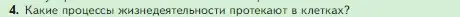 Условие номер 4 (страница 67) гдз по биологии 5 класс Пасечник, Суматохин, учебник