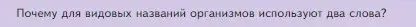 Условие номер Подумайте (страница 78) гдз по биологии 5 класс Пасечник, Суматохин, учебник