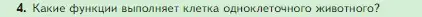 Условие номер 4 (страница 90) гдз по биологии 5 класс Пасечник, Суматохин, учебник