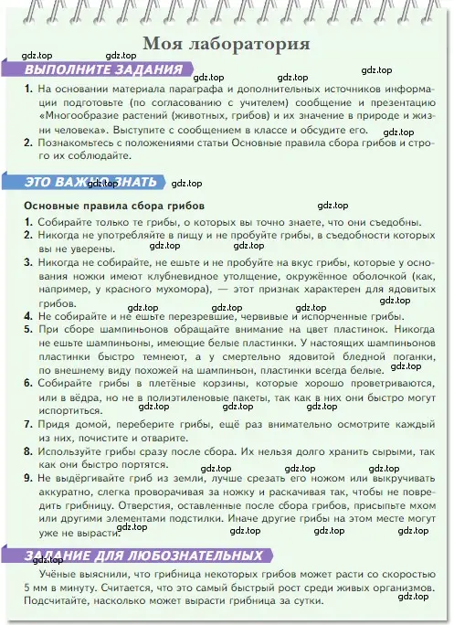 Условие номер Моя лаборатория (страница 91) гдз по биологии 5 класс Пасечник, Суматохин, учебник