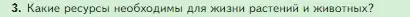 Условие номер 3 (страница 100) гдз по биологии 5 класс Пасечник, Суматохин, учебник