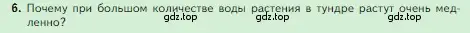 Условие номер 6 (страница 100) гдз по биологии 5 класс Пасечник, Суматохин, учебник