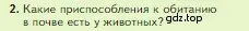 Условие номер 2 (страница 114) гдз по биологии 5 класс Пасечник, Суматохин, учебник