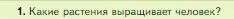 Условие номер 1 (страница 140) гдз по биологии 5 класс Пасечник, Суматохин, учебник