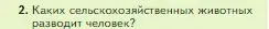 Условие номер 2 (страница 140) гдз по биологии 5 класс Пасечник, Суматохин, учебник