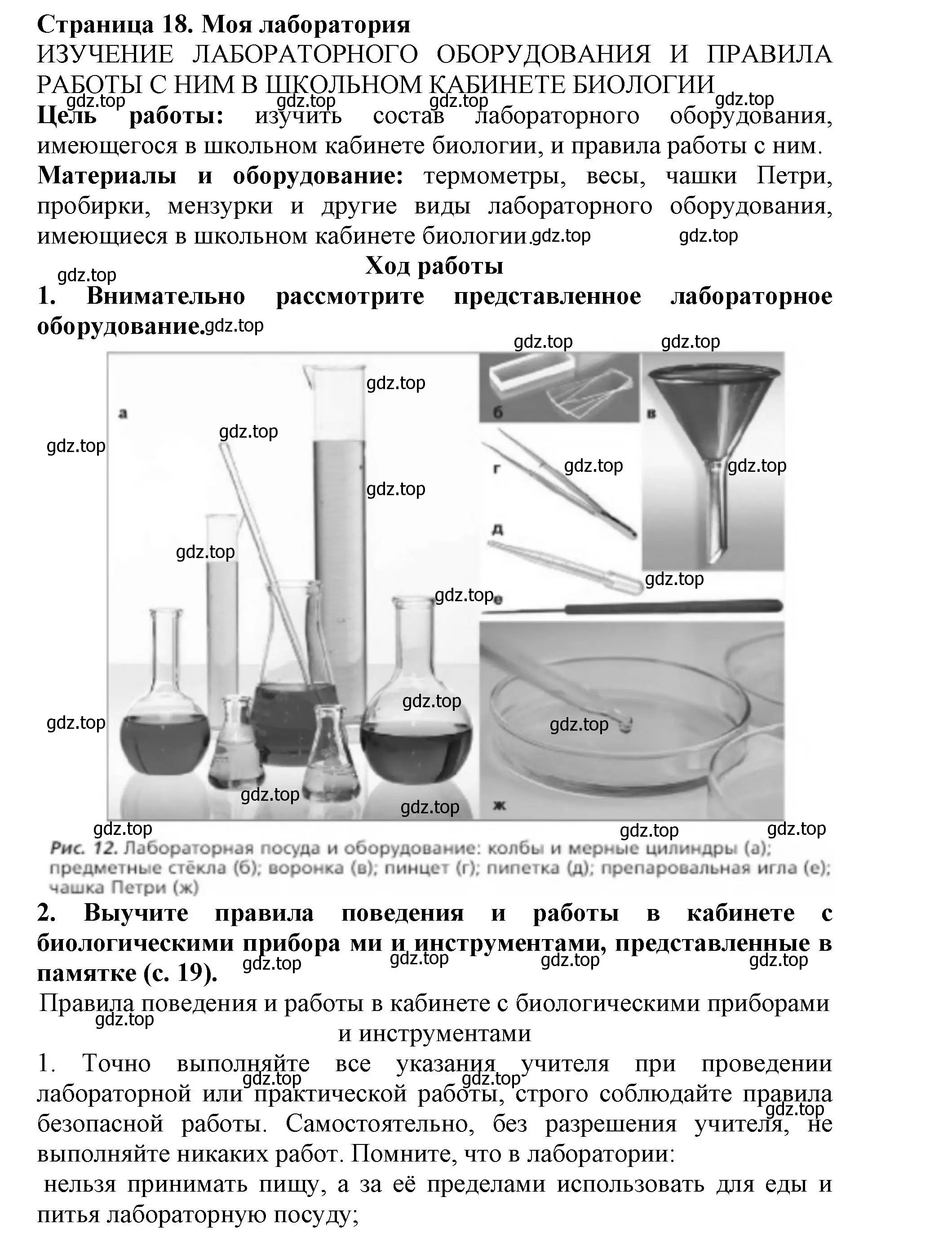 Решение номер Моя лаборатория (страница 18) гдз по биологии 5 класс Пасечник, Суматохин, учебник