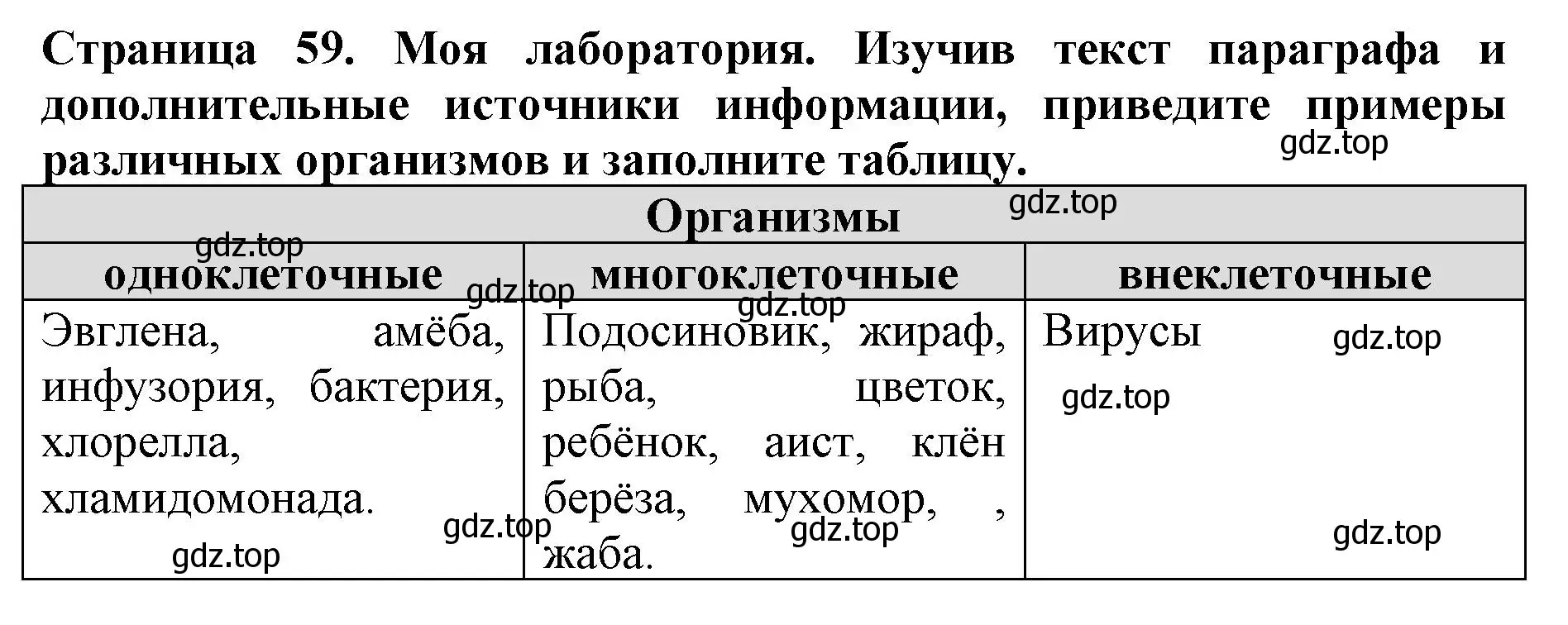 Решение номер Моя лаборатория (страница 59) гдз по биологии 5 класс Пасечник, Суматохин, учебник