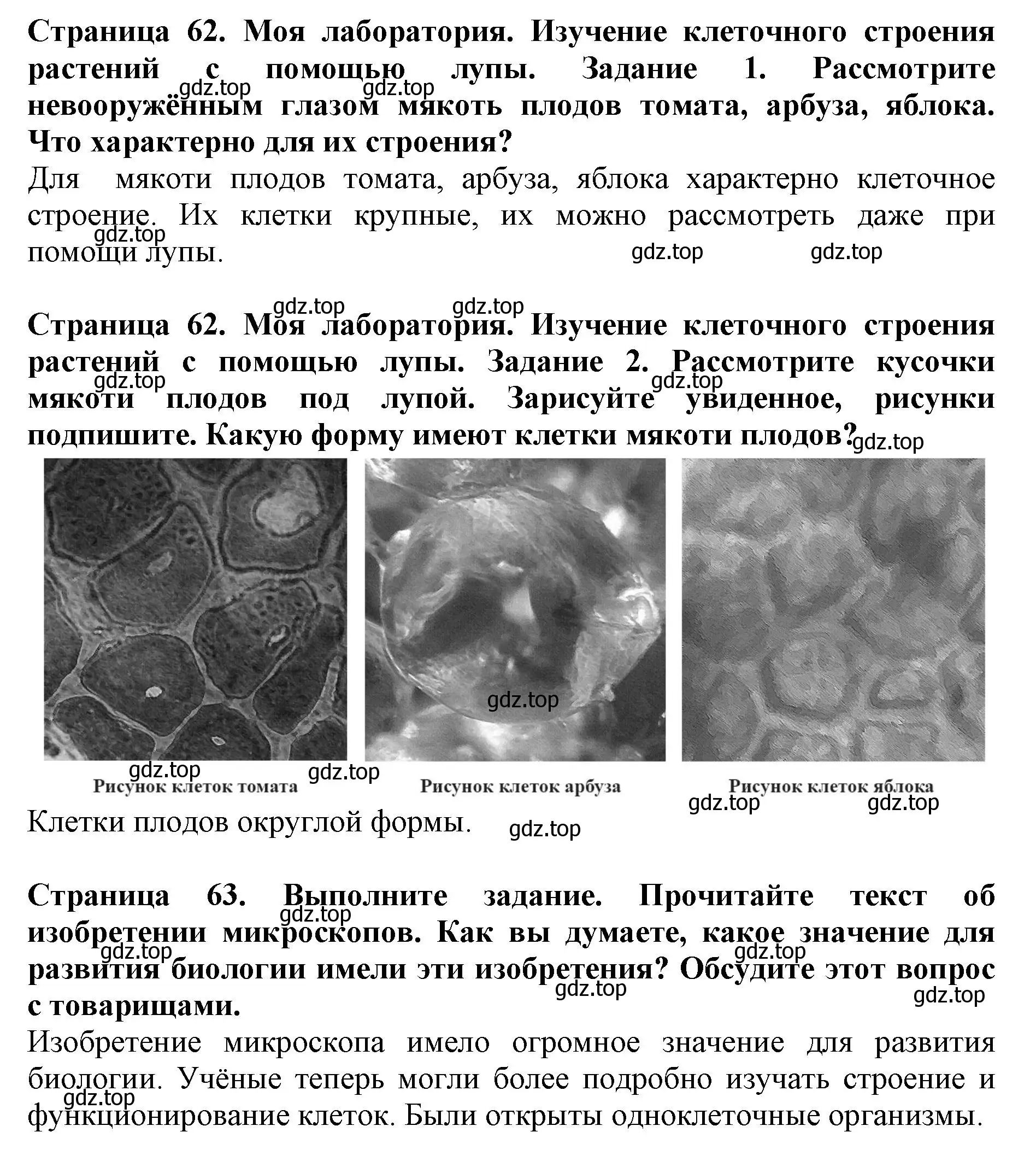 Решение номер Моя лаборатория (страница 63) гдз по биологии 5 класс Пасечник, Суматохин, учебник