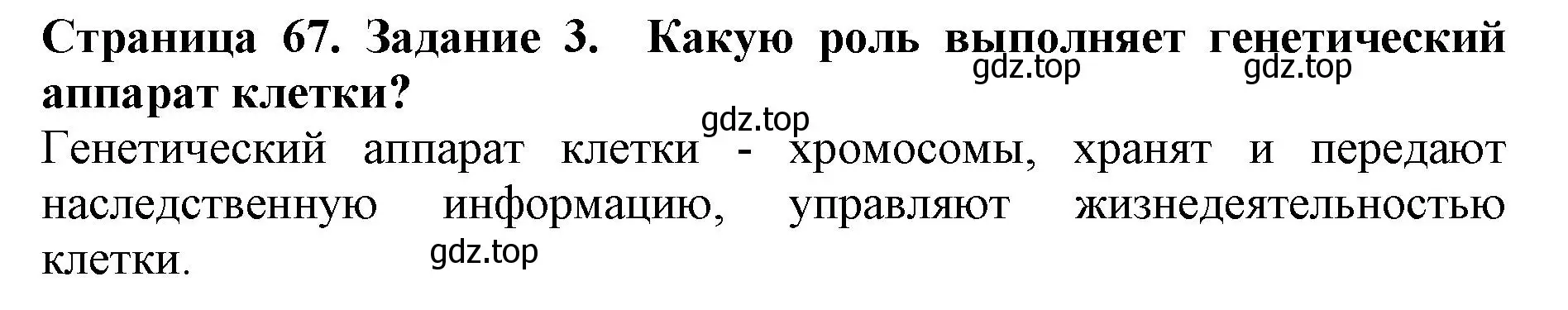 Решение номер 3 (страница 67) гдз по биологии 5 класс Пасечник, Суматохин, учебник