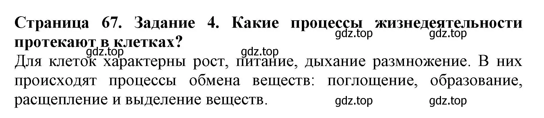 Решение номер 4 (страница 67) гдз по биологии 5 класс Пасечник, Суматохин, учебник