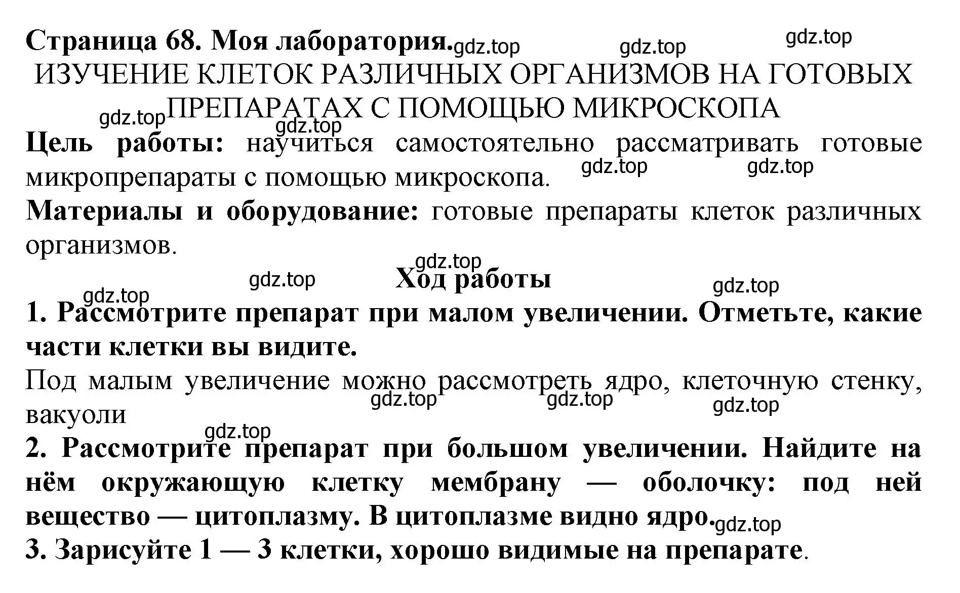 Решение номер Моя лаборатория (страница 68) гдз по биологии 5 класс Пасечник, Суматохин, учебник