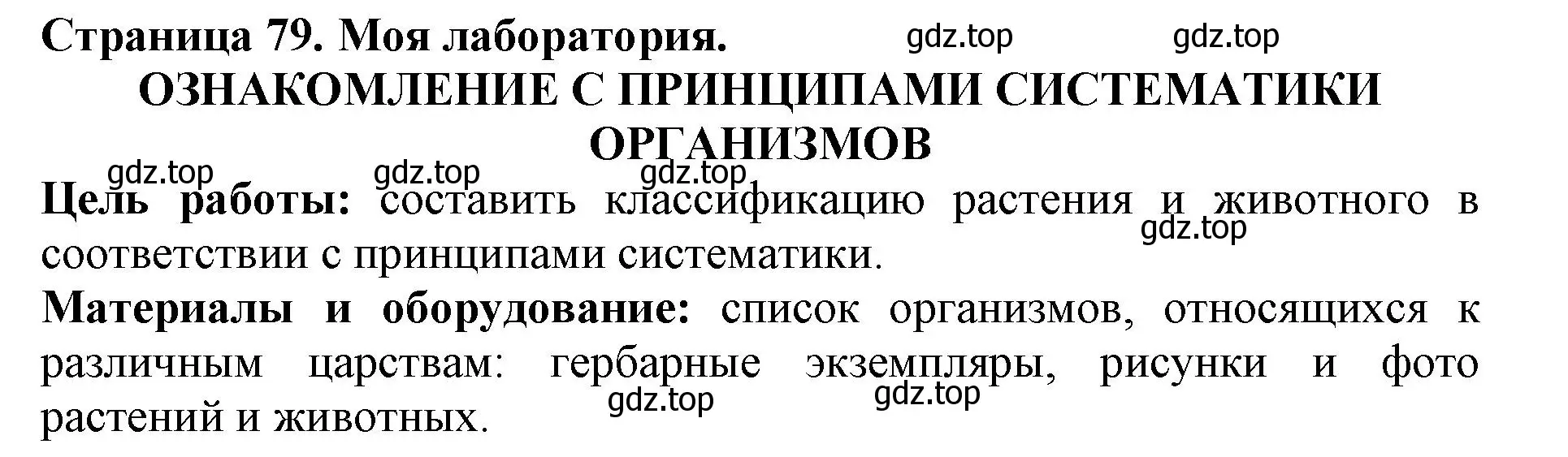 Решение номер Моя лаборатория (страница 79) гдз по биологии 5 класс Пасечник, Суматохин, учебник