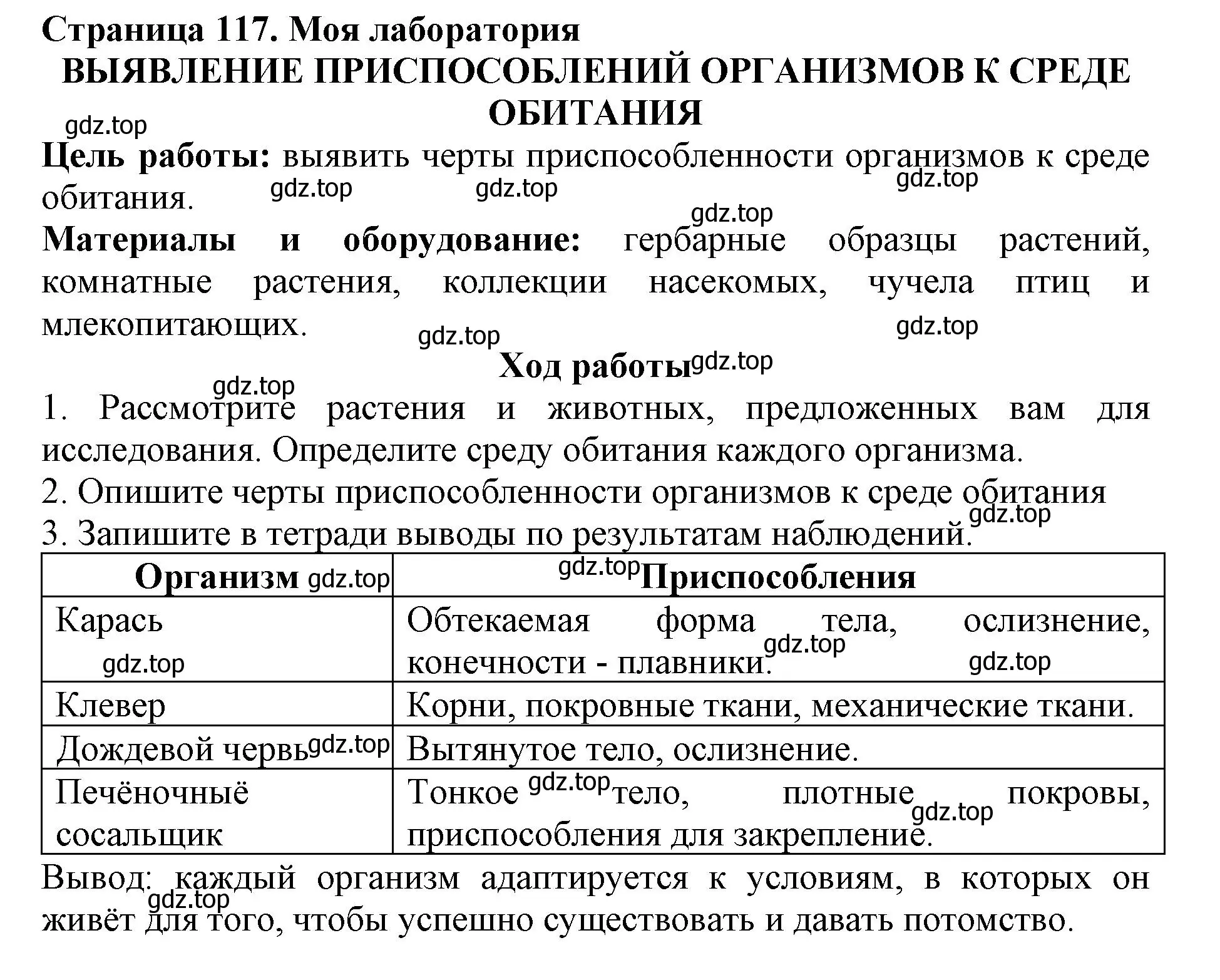 Решение номер Моя лаборатория (страница 117) гдз по биологии 5 класс Пасечник, Суматохин, учебник