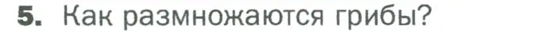 Условие номер 5 (страница 89) гдз по биологии 5 класс Пономарева, Николаев, учебник