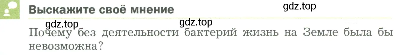 Условие  Выскажите своё мнение (страница 91) гдз по биологии 5 класс Пономарева, Николаев, учебник