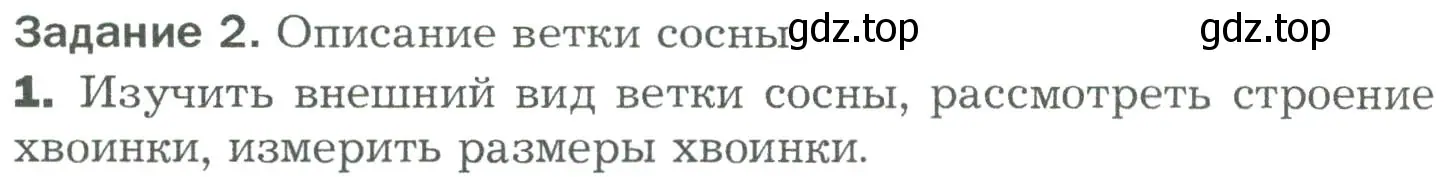 Условие номер 1 (страница 64) гдз по биологии 5 класс Пономарева, Николаев, учебник