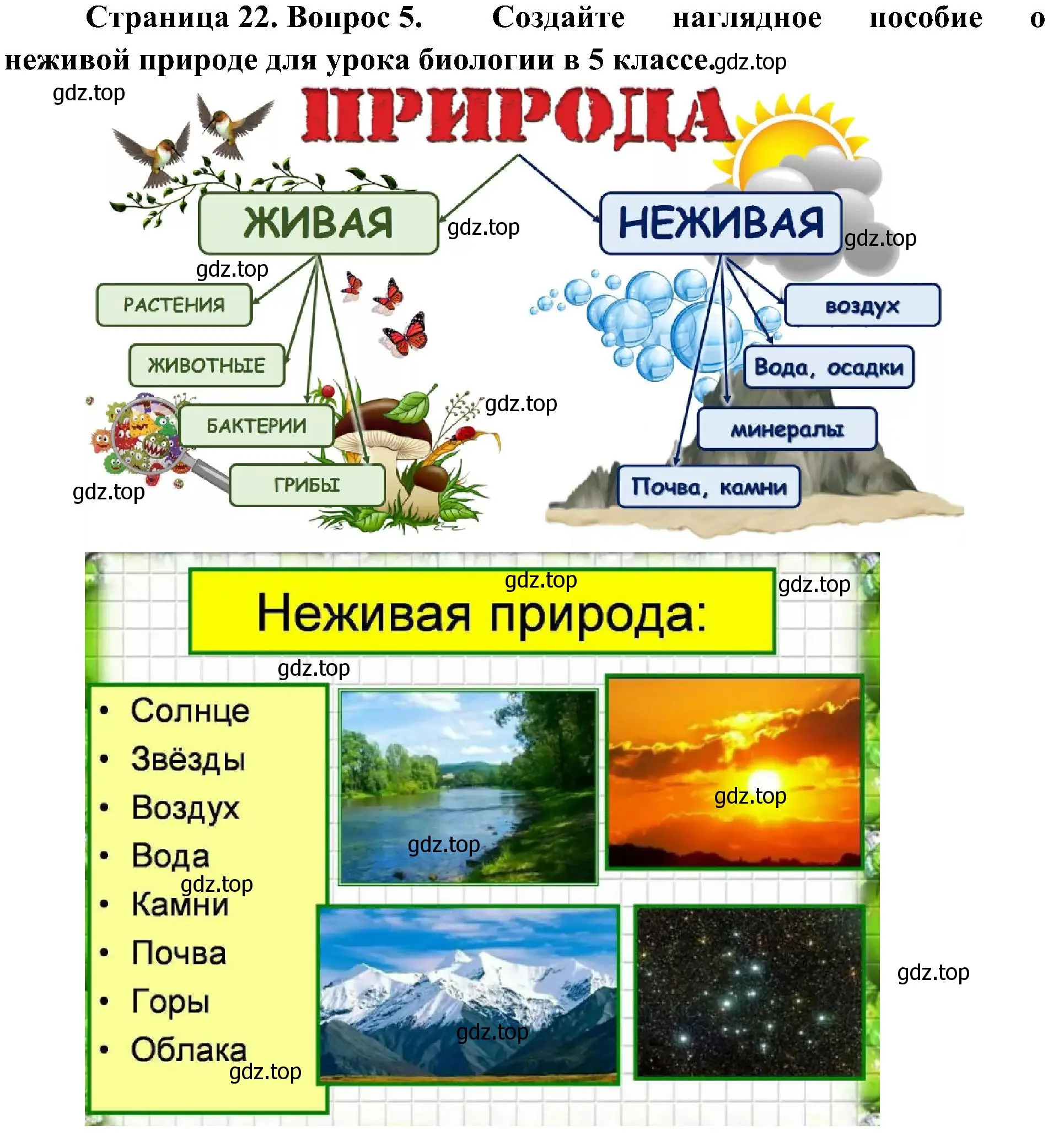 Решение номер 5 (страница 22) гдз по биологии 5 класс Пономарева, Николаев, учебник