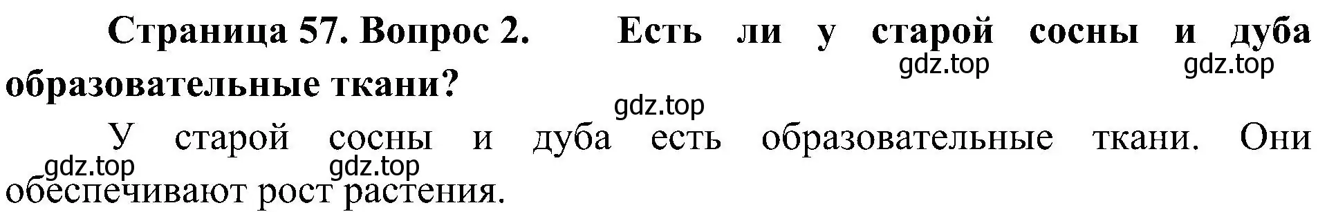 Решение номер 2 (страница 57) гдз по биологии 5 класс Пономарева, Николаев, учебник