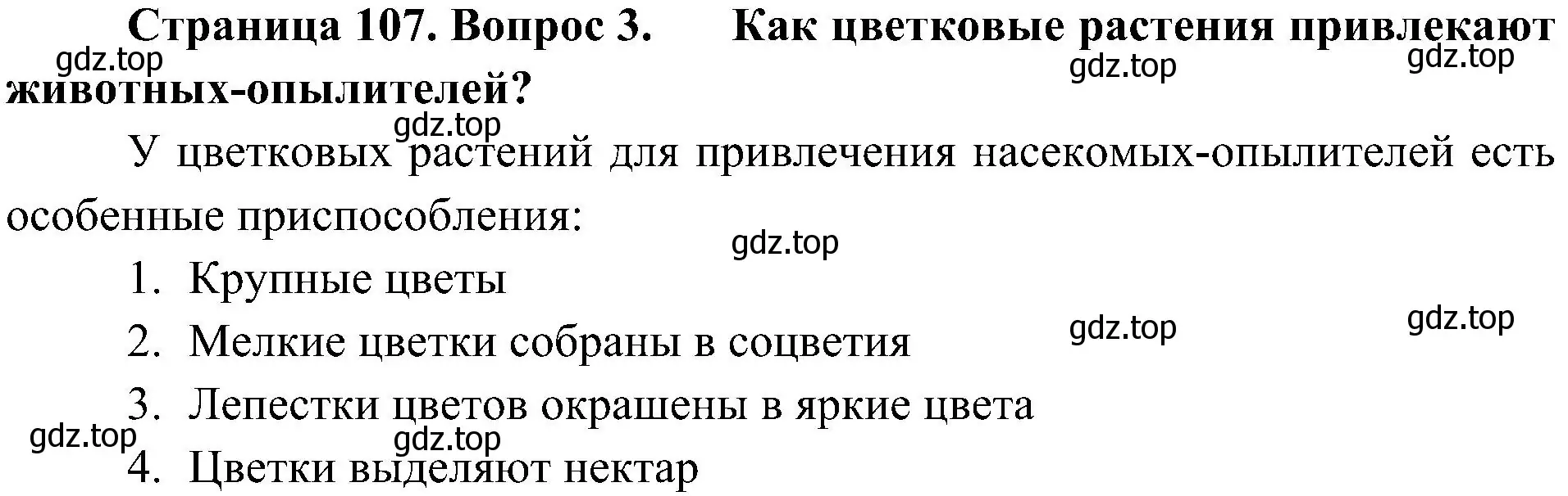 Решение номер 3 (страница 107) гдз по биологии 5 класс Пономарева, Николаев, учебник