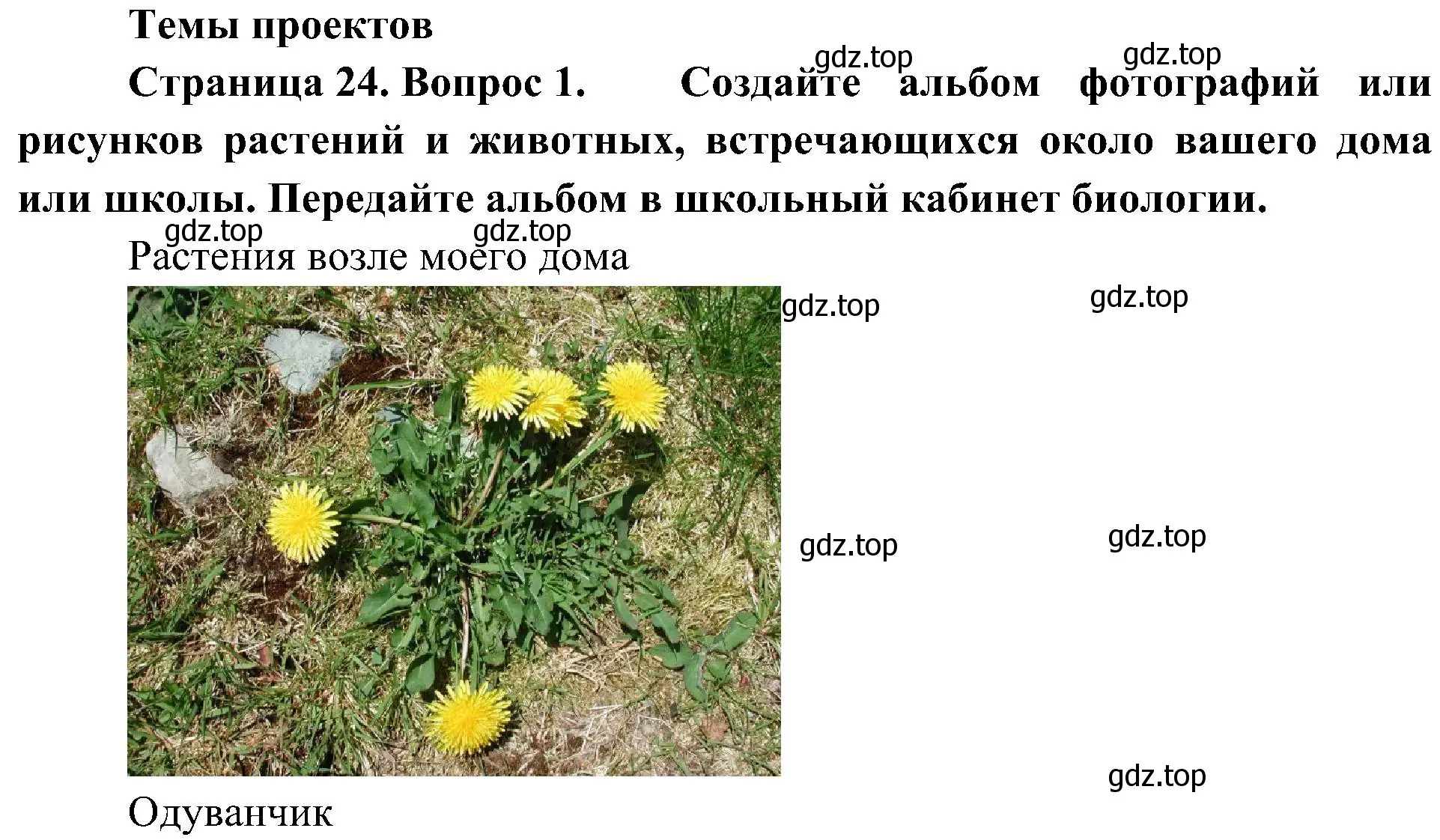 Решение номер 1 (страница 24) гдз по биологии 5 класс Пономарева, Николаев, учебник