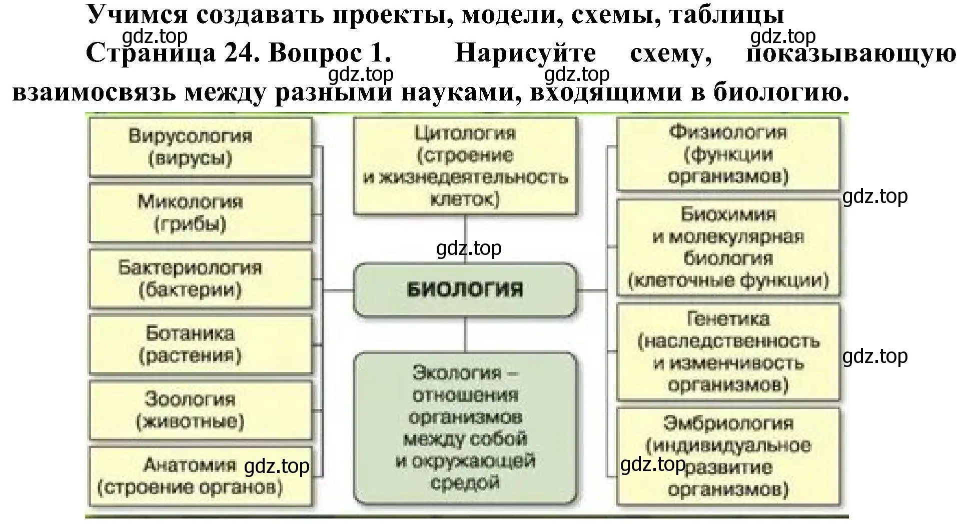 Решение номер 1 (страница 24) гдз по биологии 5 класс Пономарева, Николаев, учебник