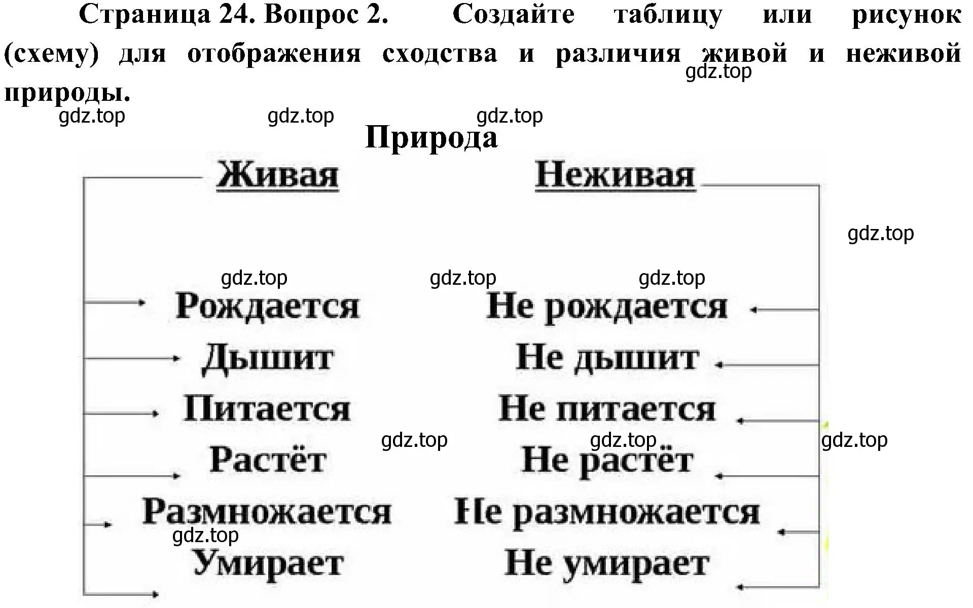 Решение номер 2 (страница 24) гдз по биологии 5 класс Пономарева, Николаев, учебник