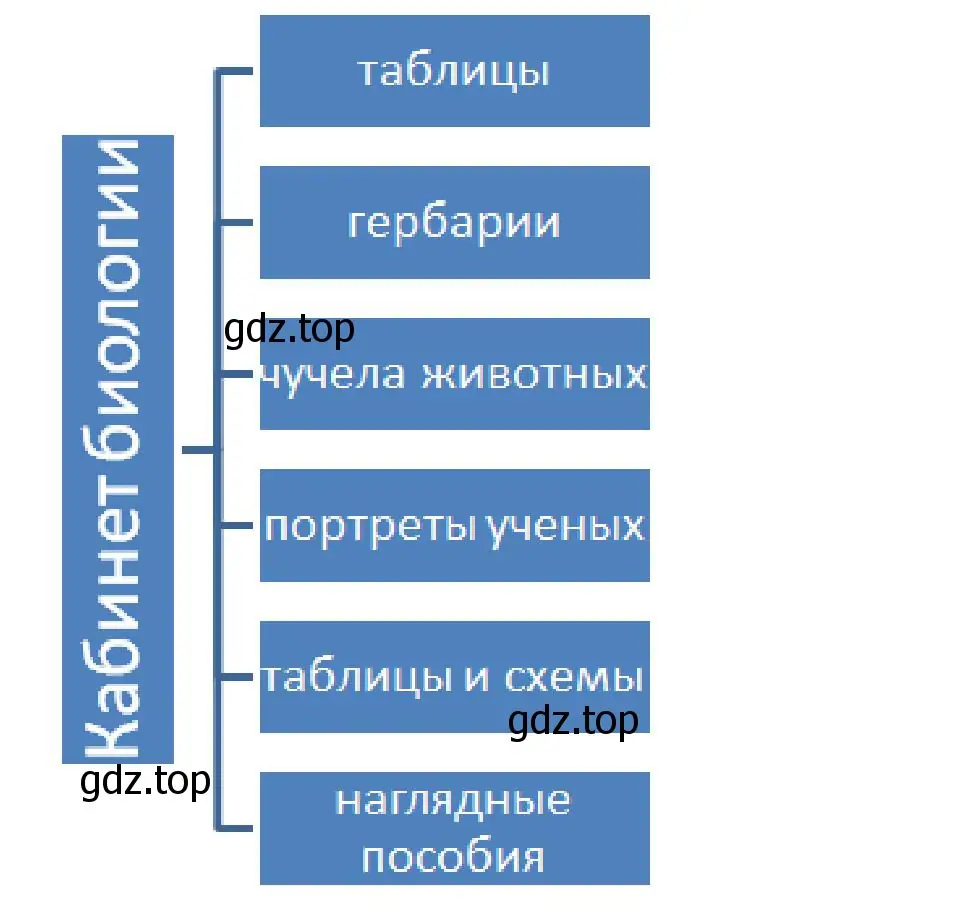 Решение номер 4 (страница 41) гдз по биологии 5 класс Пономарева, Николаев, учебник