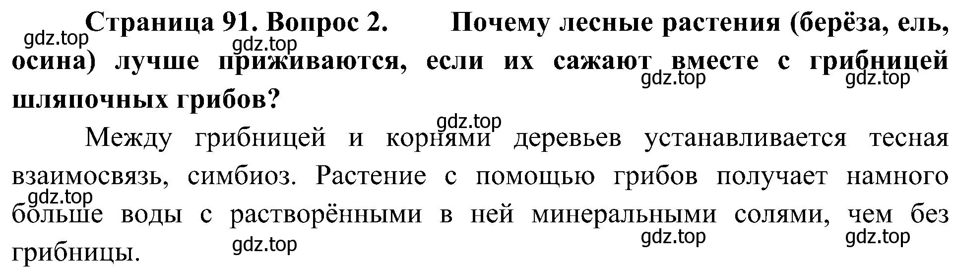 Решение номер 2 (страница 91) гдз по биологии 5 класс Пономарева, Николаев, учебник